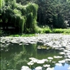 <b>Rezervatii naturale Baile Olanesti</b>